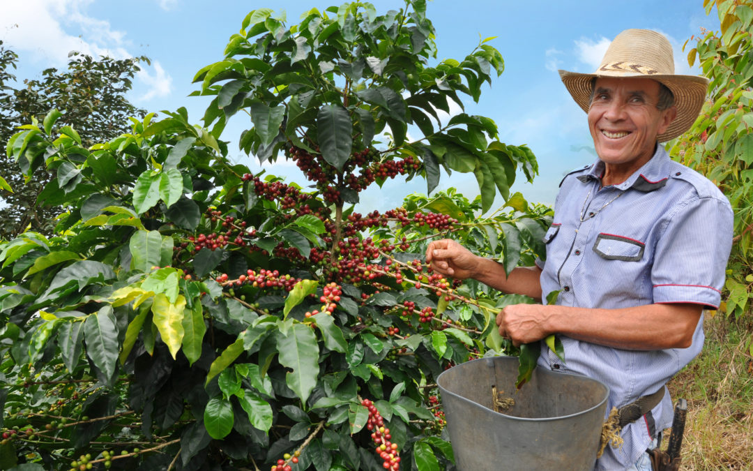 Con asesoría personalizada Microempresas de Colombia busca fortalecer los pequeños productores y agremiaciones en el país